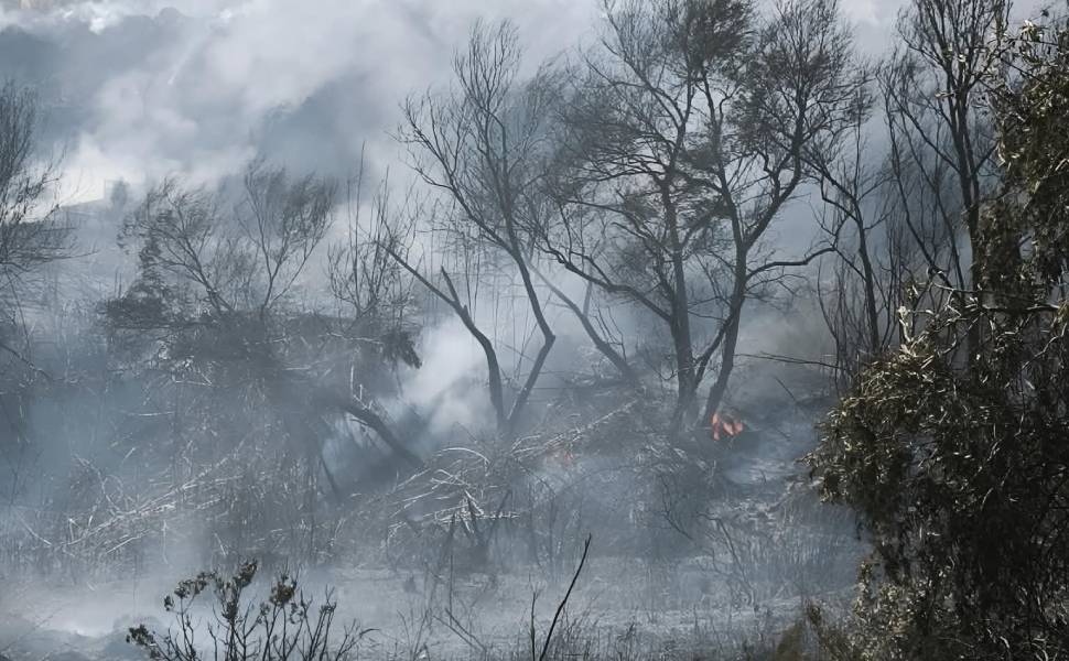 Incendio a Scalea, le fiamme nei pressi della stazione hanno minacciato anche le case 89 Incendio Scalea