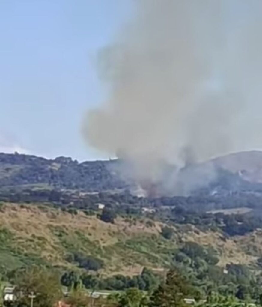 Incendi nell'Alto Tirreno Cosentino: le fiamme devastano i boschi. Interventi tardivi e inefficaci 52 Incendio Tirreno 2