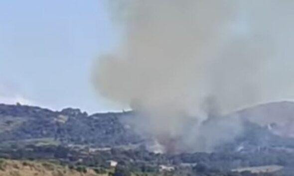 incendi-tirreno cosentino