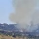 Incendi nell'Alto Tirreno Cosentino: le fiamme devastano i boschi. Interventi tardivi e inefficaci 52 incendi-tirreno cosentino