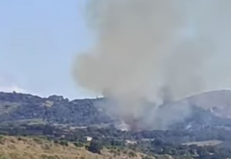 Incendi nell'Alto Tirreno Cosentino: le fiamme devastano i boschi. Interventi tardivi e inefficaci 51 incendi-tirreno cosentino