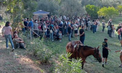 Laurignano country festival 02