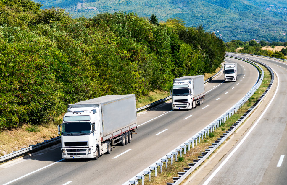 Gasolio alle stelle e aziende al collasso: autotrasporto in Calabria verso il blocco totale «extrema ratio per non fallire» 53 Mezzi pesanti Tir autotrasporto Calabria
