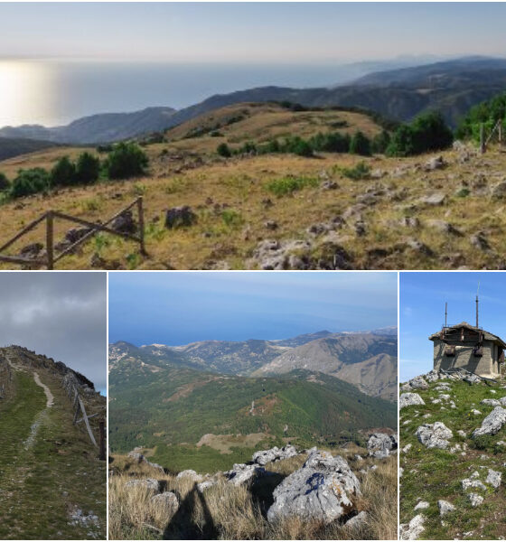Monte-Cocuzzo-Bene-Comune-riserva-naturale-progetto