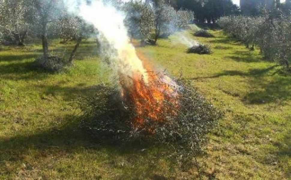 Roghi carabinieri forestali contro incendi 02