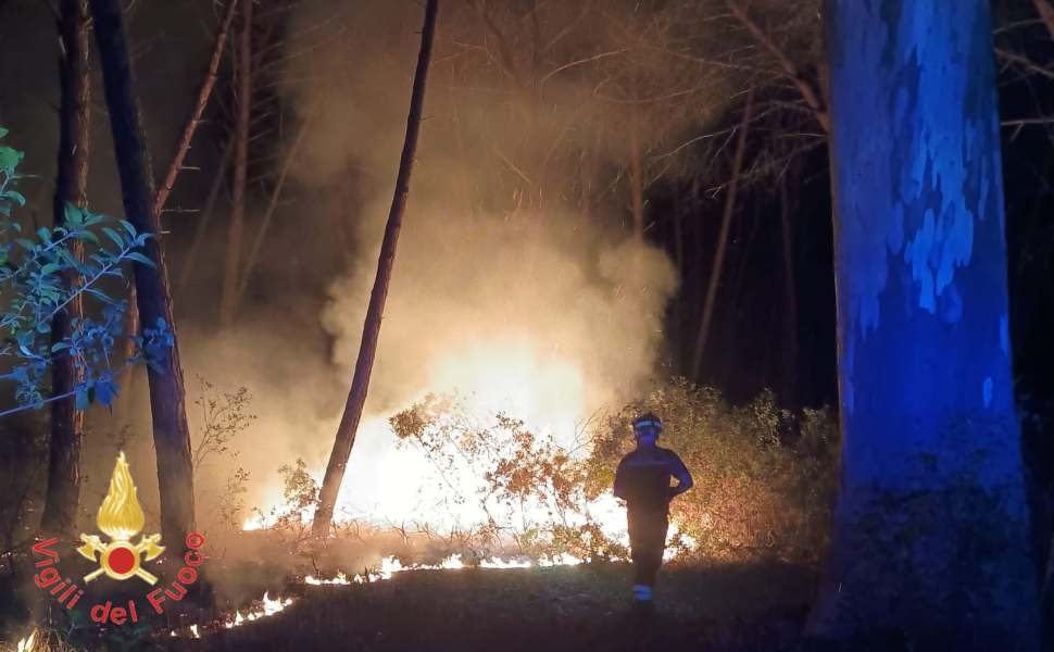 Un'intera pineta divorata dalle fiamme: Vigili del fuoco al lavoro fino a notte fonda. Si indaga sulle cause 52 Rogo pineta Curinga 2