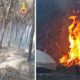 Un'intera pineta divorata dalle fiamme: Vigili del fuoco al lavoro fino a notte fonda. Si indaga sulle cause 52 pineta_fiamme
