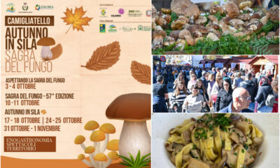 Sagra del Fungo 2026 56 edizione