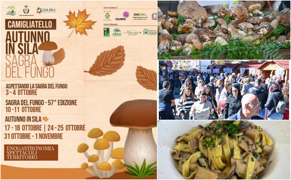 Le eccellenze della Sila e sua maestà il Porcino: Autunno Silano 2026 e 57ª Sagra del Fungo a Camigliatello - Le date 57 Sagra del Fungo 2026 56 edizione