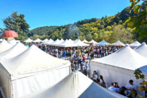 Le eccellenze della Sila e sua maestà il Porcino: Autunno Silano 2026 e 57ª Sagra del Fungo a Camigliatello - Le date 61 Sagra del Fungo Camigliatello Silano01