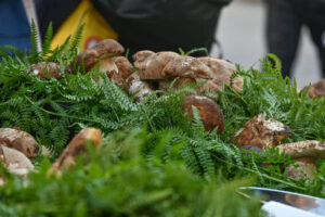 Le eccellenze della Sila e sua maestà il Porcino: Autunno Silano 2026 e 57ª Sagra del Fungo a Camigliatello - Le date 66 Sagra del Fungo Camigliatello Silano09