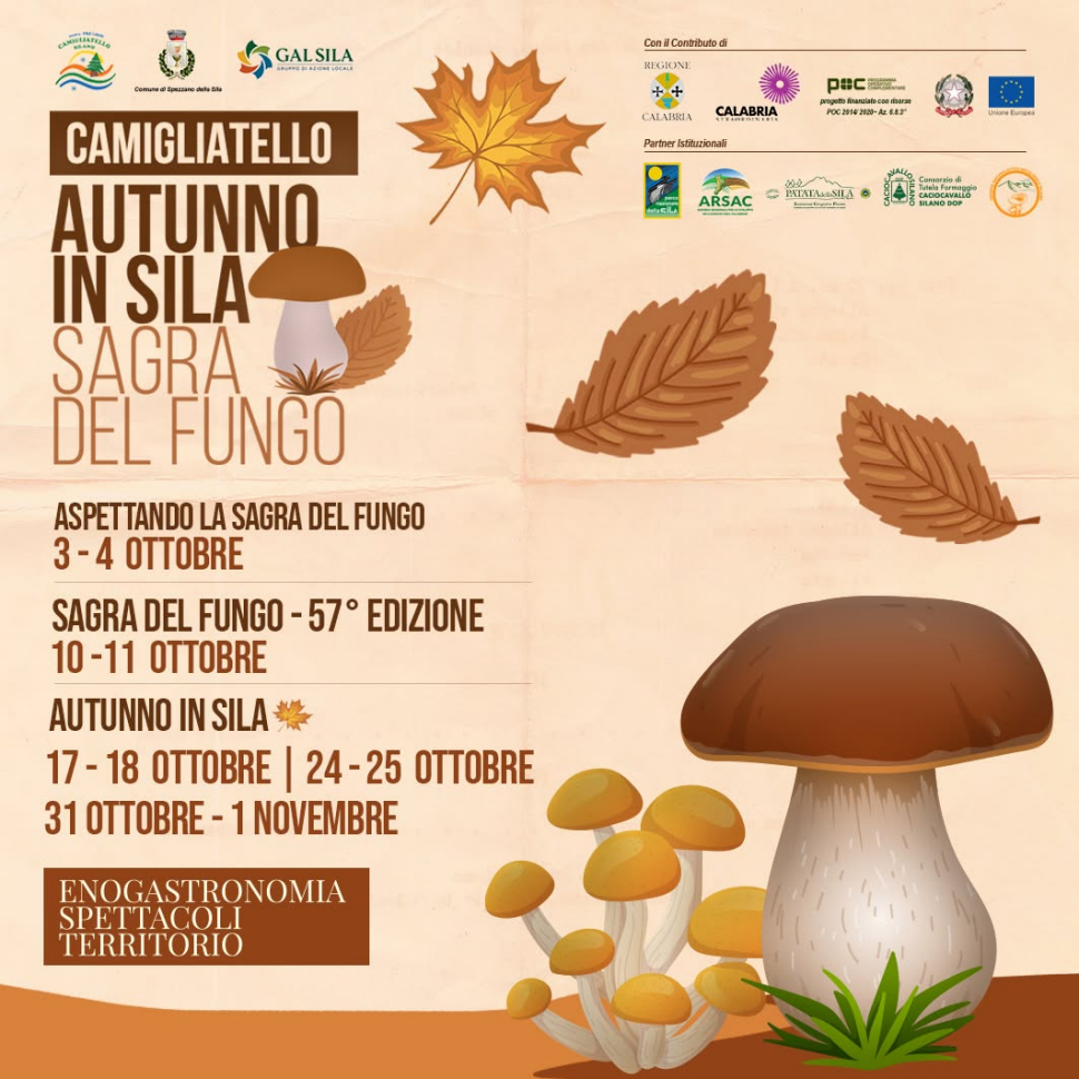 Le eccellenze della Sila e sua maestà il Porcino: Autunno Silano 2026 e 57ª Sagra del Fungo a Camigliatello - Le date 60 56 Sagra del Fungo Camigliatello Silano 2026