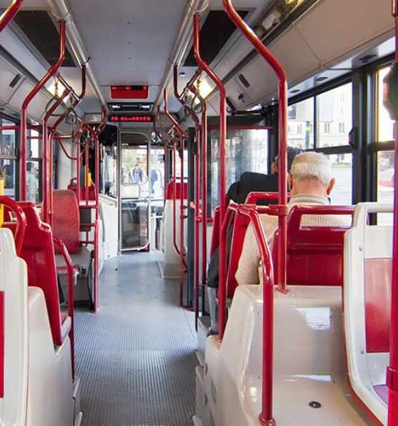 La riforma del Tpl in Calabria: 21 emendamenti e un Piano da oltre 30 miliardi 56 Tpl - trasporto pubblico - bus 02