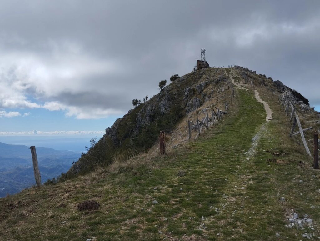 Monte Cocuzzo, 1.541 metri di meraviglia: parte la sfida per trasformarlo in una Riserva Naturale 54 monte cocuzzo 4