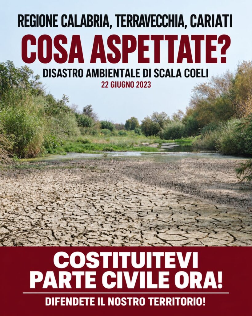 Disastro ambientale di Scala Coeli, la denuncia: “Cariati non si è ancora costituita parte civile” 53 disastro ambientale scala coeli