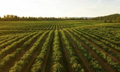 agricoltura innovazione