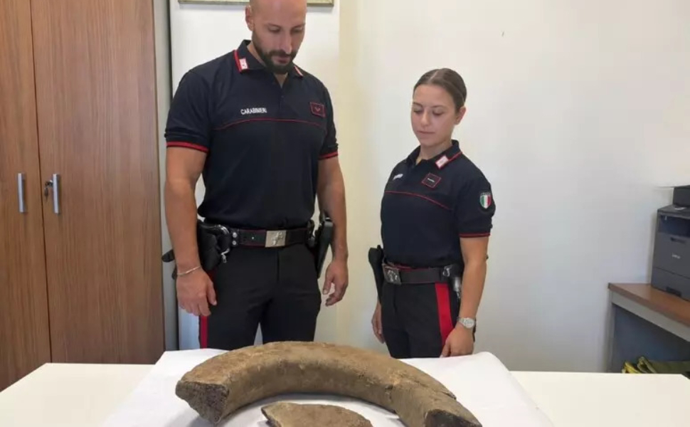 Dopo l’incendio spunta un antico reperto romano: lo esamineranno i Carabinieri di Cosenza 51 antico-reperto-romano-carabinieri-cosenza