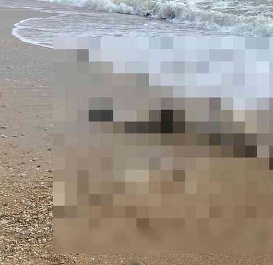cadavere-spiaggia-marina-di-gioiosa-ionica