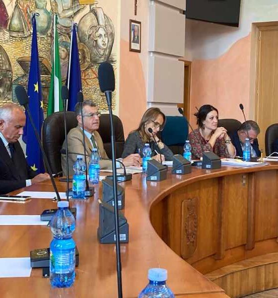 consiglio comunale di cosenza
