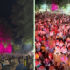 Celico: migliaia di visitatori alla Festa della Patata della Sila IGP di Lagarò Lupinacci 66 Celico: migliaia di visitatori alla Festa della Patata della Sila IGP di Lagarò Lupinacci