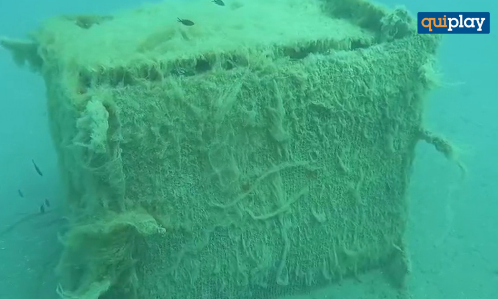 San Nicola Arcella: Sinus Underwater Wine, nuovo controllo alla cantina sottomarina