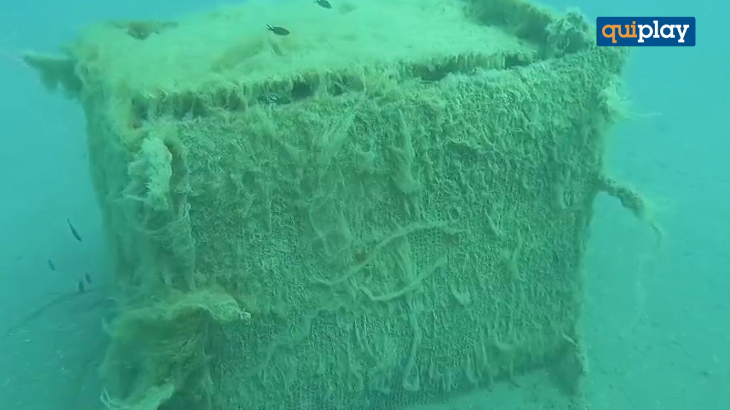 San Nicola Arcella: Sinus Underwater Wine, nuovo controllo alla cantina sottomarina