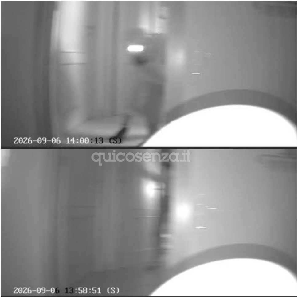 Rende, furto in casa in pieno giorno: distrutti anche i giocattoli di un bimbo di 18 mesi «violata una famiglia» 53 furto casa rende famiglia giocattoli bambino 03 (1)