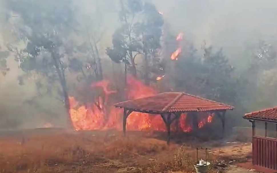 Incendio a Scalea, le fiamme nei pressi della stazione hanno minacciato anche le case 52 incendio a scalea