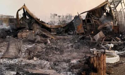 incendio oasi argo 02
