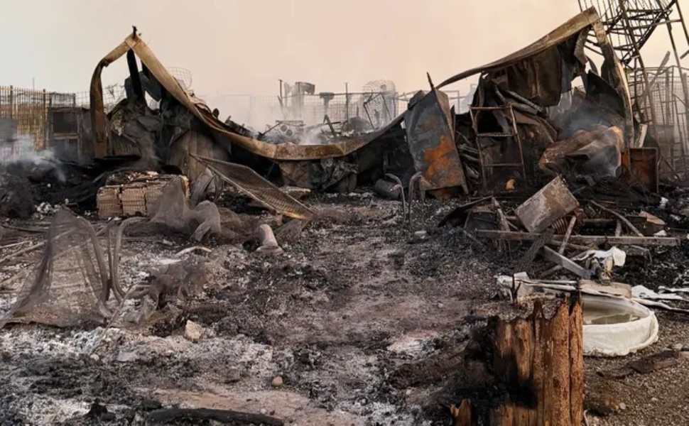 Indagare sull'incendio all’Oasi Argo: “aiutiamo i cani a trovare una casa”. Parte una raccolta fondi 51 incendio oasi argo 02