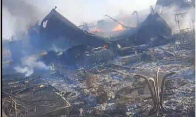 incendio-oasi-argo-fuoco-cani.j