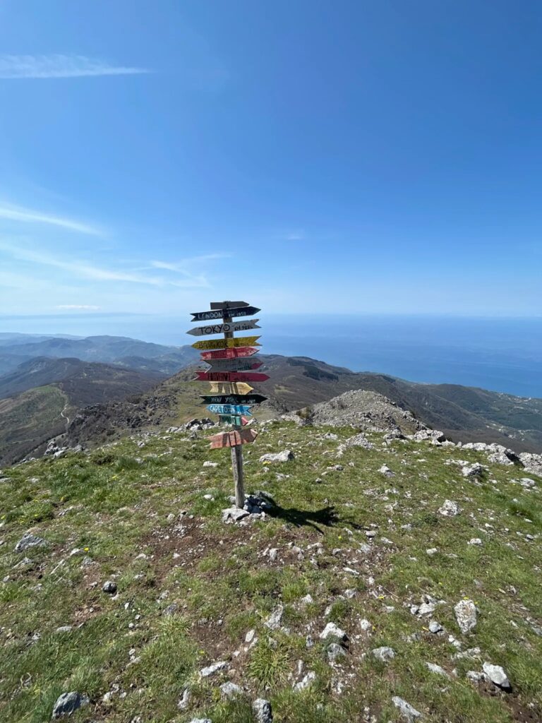Monte Cocuzzo, 1.541 metri di meraviglia: parte la sfida per trasformarlo in una Riserva Naturale 52 monte-cocuzzo