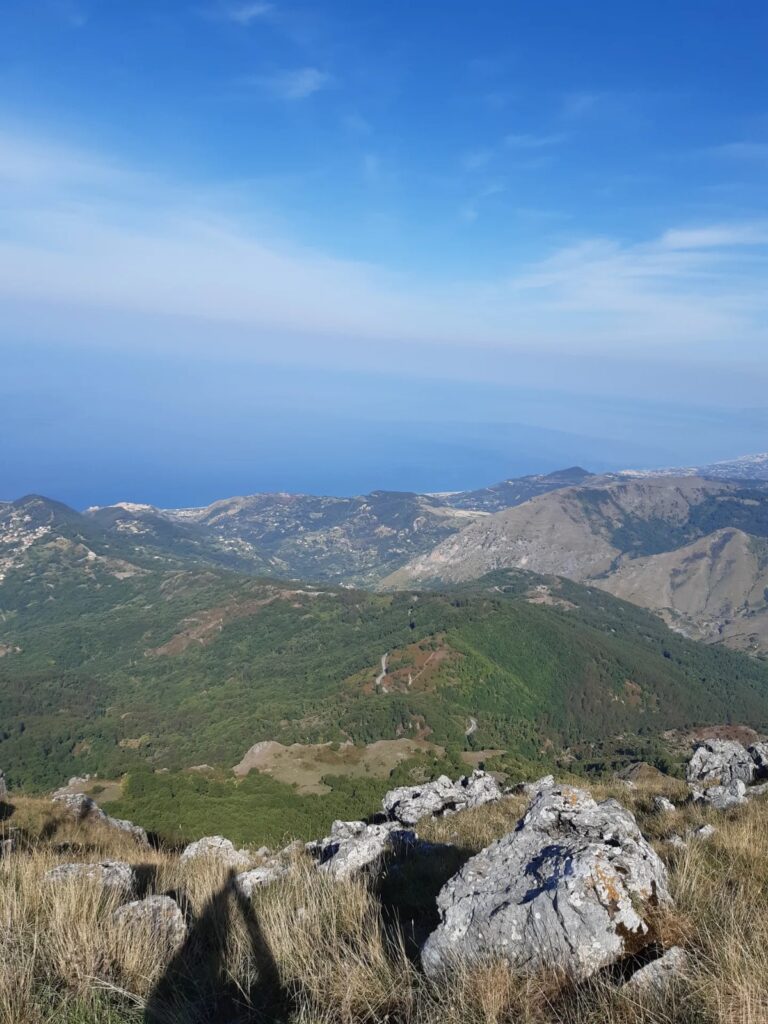 Monte Cocuzzo, 1.541 metri di meraviglia: parte la sfida per trasformarlo in una Riserva Naturale 53 monte-cocuzzo