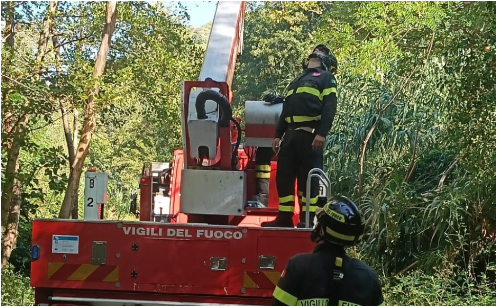Perde il controllo del parapendio e resta incastrato su un albero: paura a Fiumefreddo - VIDEO 51 parapendio-fiumefreddo-bruzio