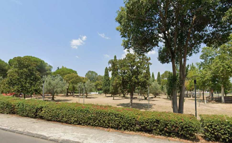 parco nicholas green cosenza