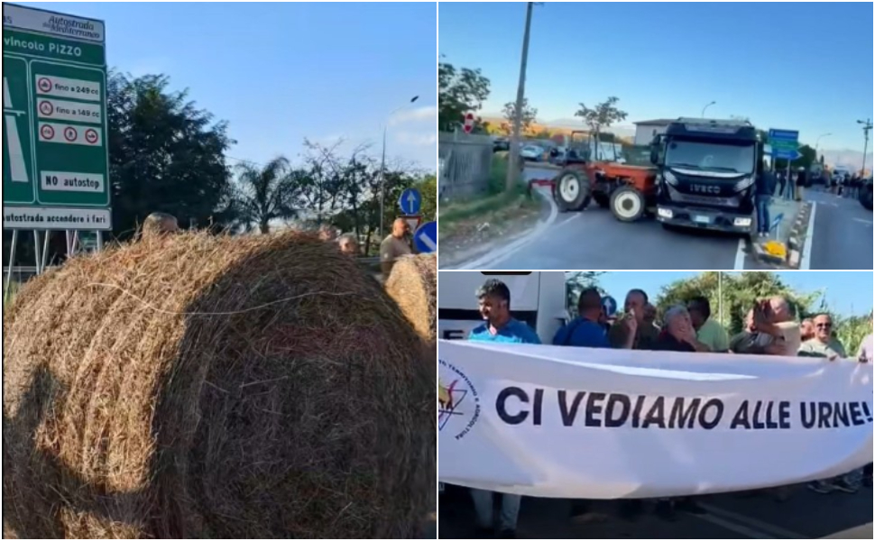presìdi agricoltori spezzano pizzo 01