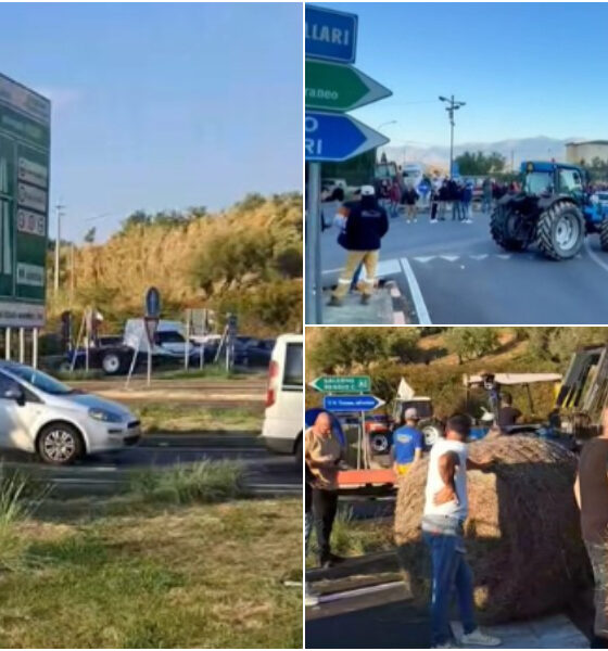 presìdi agricoltori spezzano pizzo 02