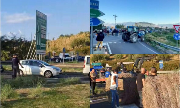 presìdi agricoltori spezzano pizzo 02
