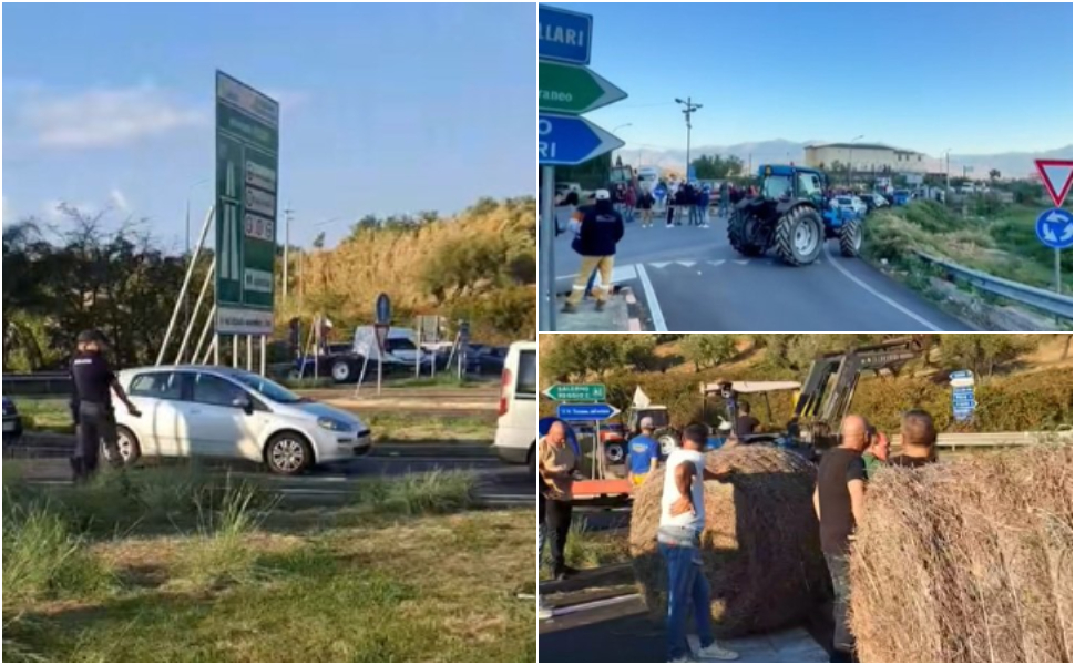 presìdi agricoltori spezzano pizzo 02