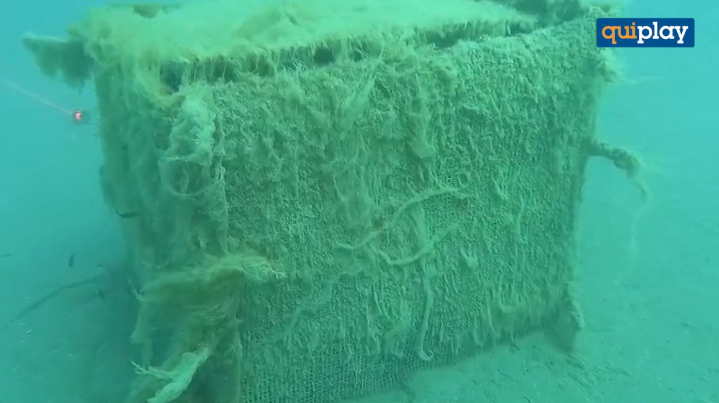 San Nicola Arcella: Sinus Underwater Wine, nuovo controllo alla cantina sottomarina