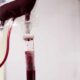 Testimoni di Geova, la svolta dopo 80 anni sulle trasfusioni: sì a 4 componenti del sangue 54 testimoni geova sangue trasfusioni 01