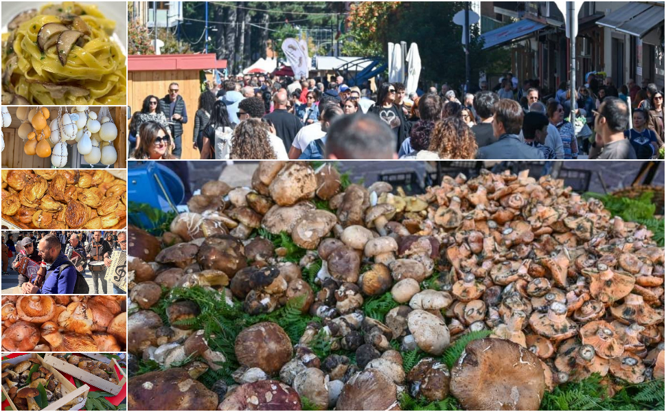 57 Sagra del fungo Camigliatello Silano 2026