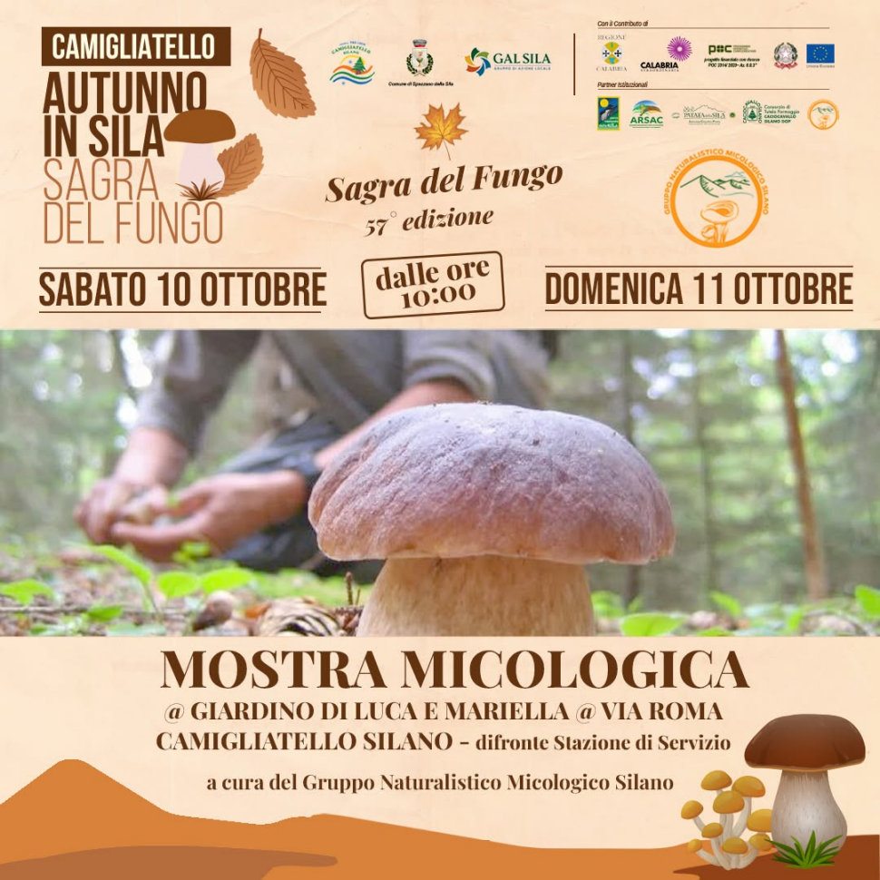 A Camigliatello Silano la 57ª Sagra del Fungo: sapori, musica e tradizione nel cuore della Sila | Programma 59 Mostra micologica Sagra del fungo Sila 2026