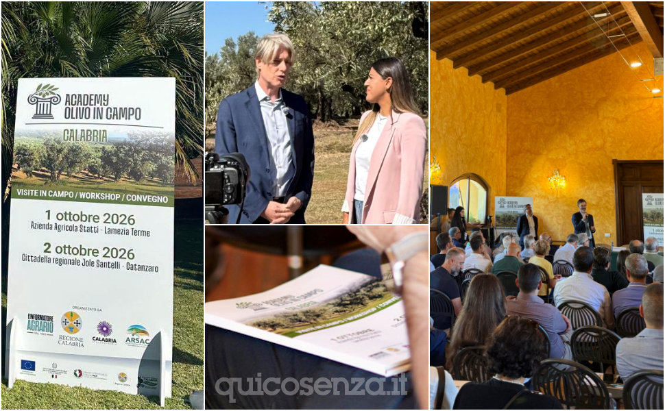 Academy Olivo in campo Calabria