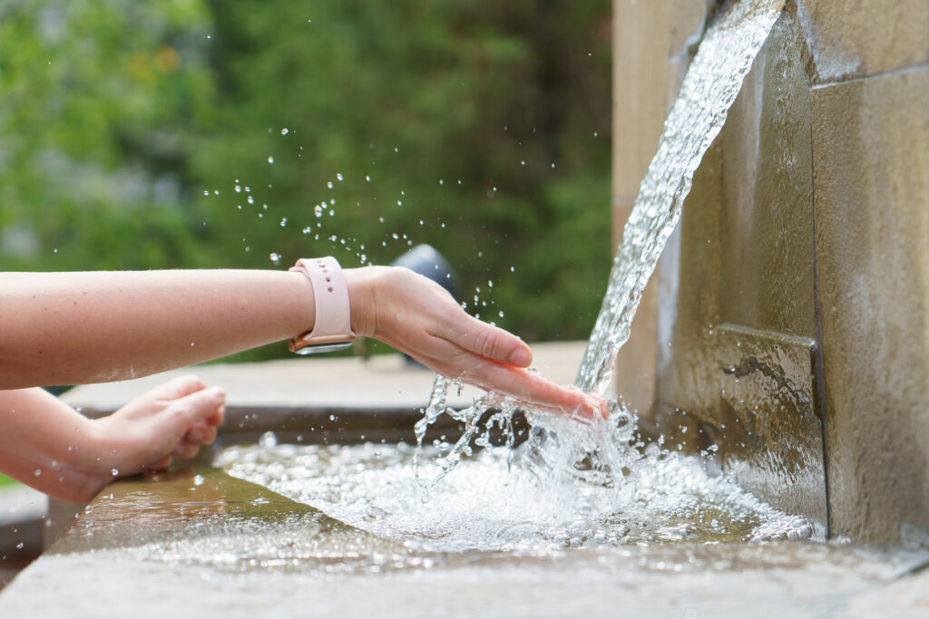 Acqua nel Cosentino, dal Governo oltre 73 milioni per ammodernare l'acquedotto Sila Greca 53 Acqua in Calabria