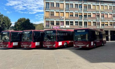 Amaco - Cometra - Bus minoranza