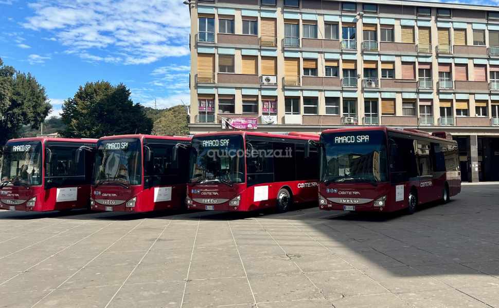 Amaco - Cometra - Bus minoranza