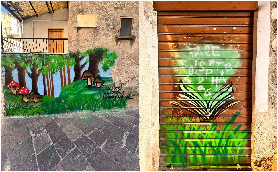 Dalla cultura Hip Hop alla Street Art, Amaele Serino «l’arte cambia i muri, ma soprattutto le persone» 53 Amaele Serino street art 02