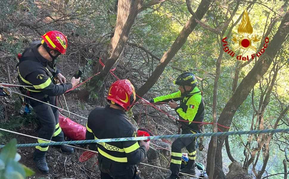 Cane da caccia intrappolato in un dirupo lungo oltre 100 metri, recuperato dai Vigili del fuoco 52 Cane intrappolato Cirò 02