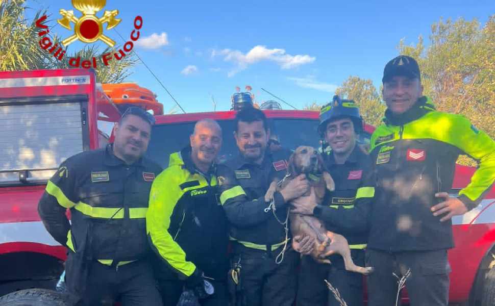 Cane da caccia intrappolato in un dirupo lungo oltre 100 metri, recuperato dai Vigili del fuoco 54 Cane intrappolato Cirò 03